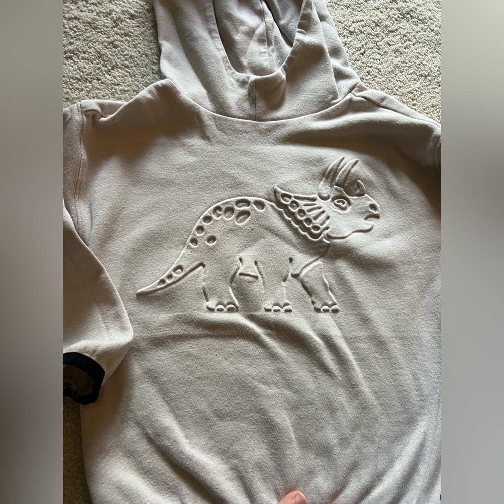 Gap Boy shirt/sweatshirt bundle